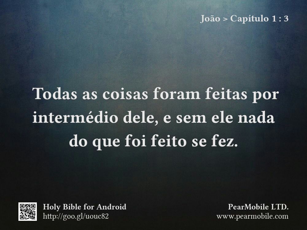 João, Capítulo 1:3